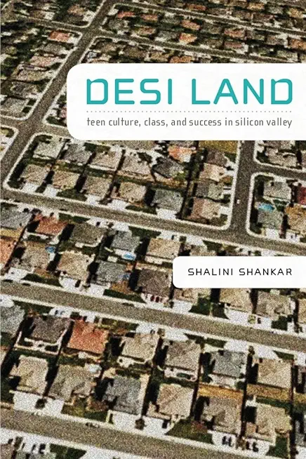 Desi Land: Teen Culture, Class, and Success in Silicon Valley