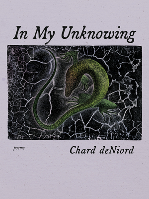 In My Unknowing: Poems
