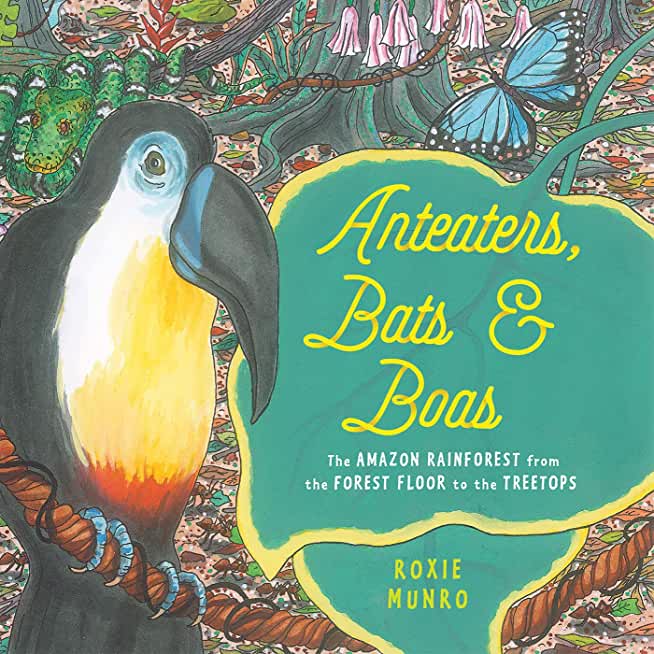Anteaters, Bats & Boas: The Amazon Rainforest from the Forest Floor to the Treetops