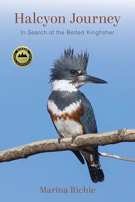 Halcyon Journey: In Search of the Belted Kingfisher