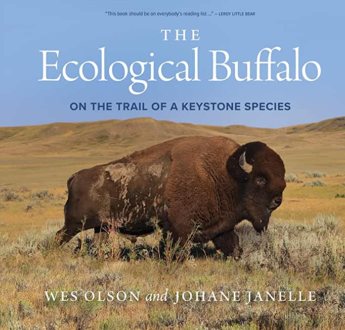 The Ecological Buffalo: On the Trail of a Keystone Species