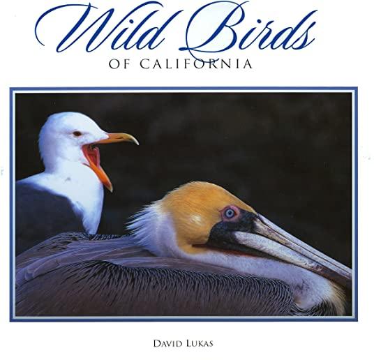 Wild Birds of California