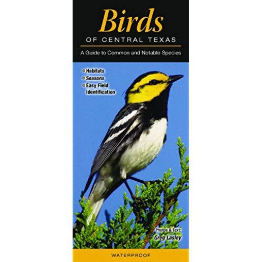 Birds of Central Texas: A Guide to Common & Notable Species