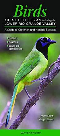 Birds of South Texas: A Guide to Common & Notable Species