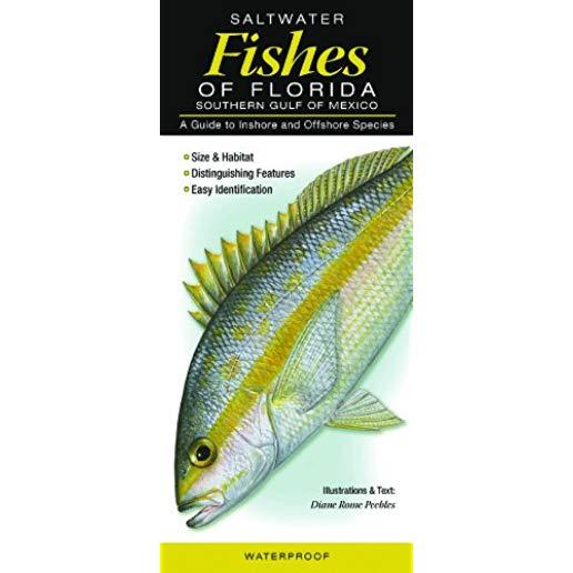 Saltwater Fishes of Florida-Southern Gulf of Mexico: A Guide to Inshore & Offshore Species