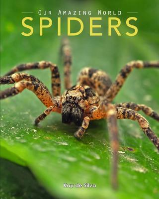Spiders: Amazing Pictures & Fun Facts on Animals in Nature