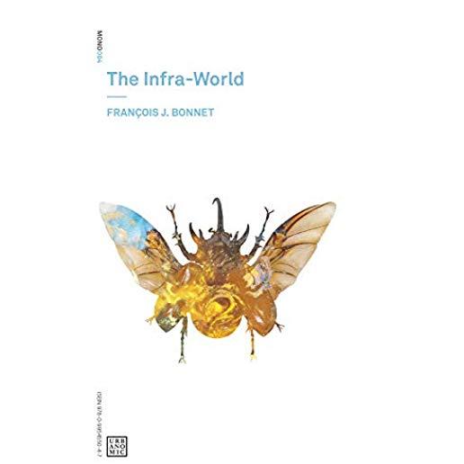 The Infra-World