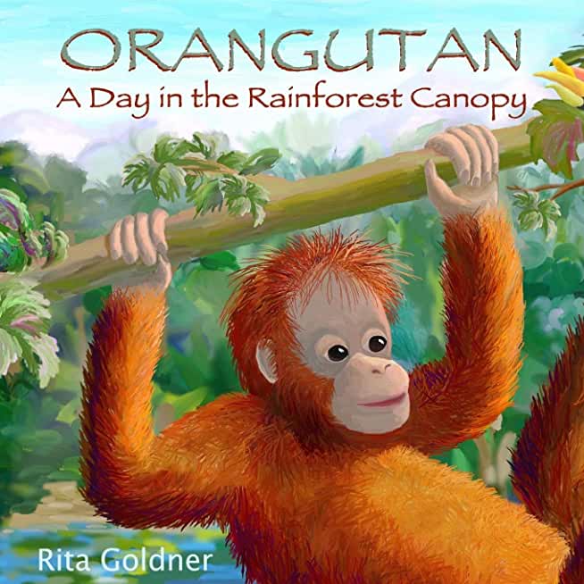 Orangutan: A Day in the Rainforest Canopy