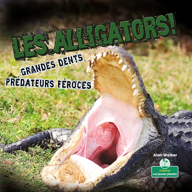Les Alligators. Grandes Dents. Chasseurs FÃ©roces!