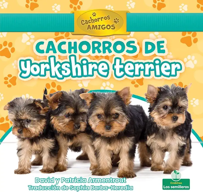 Cachorros de Yorkshire Terrier