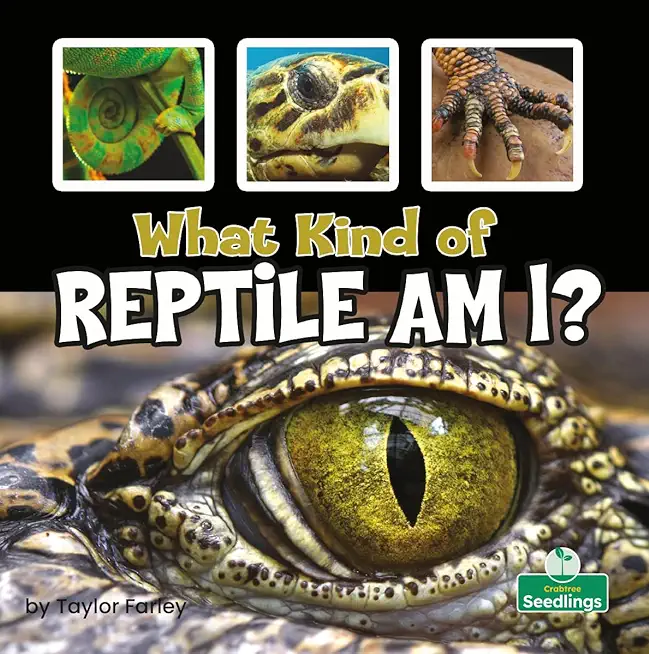 What Kind of Reptile Am I?