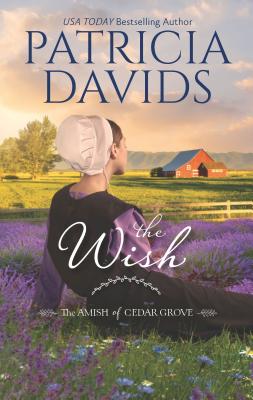 The Wish: A Clean & Wholesome Romance