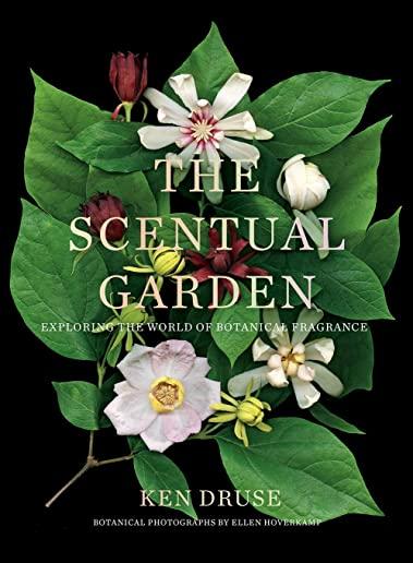 Scentual Garden: Exploring the World of Botanical Fragrance