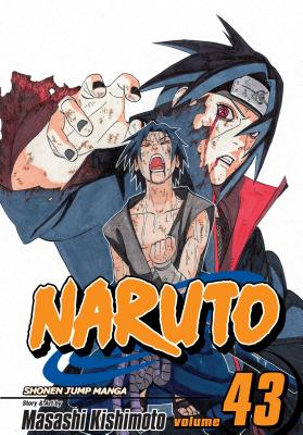 Naruto, Vol. 43: Naruto