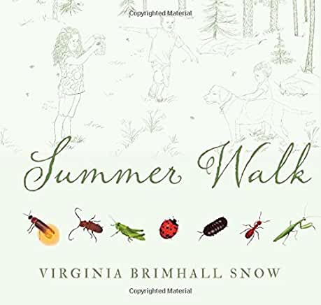 Summer Walk (Paperback)