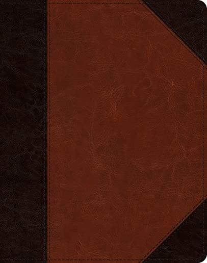 ESV Single Column Journaling Bible (Trutone, Brown/Cordovan, Portfolio Design)