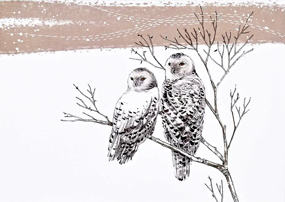 Snowy Owls Deluxe Boxed Holiday Cards