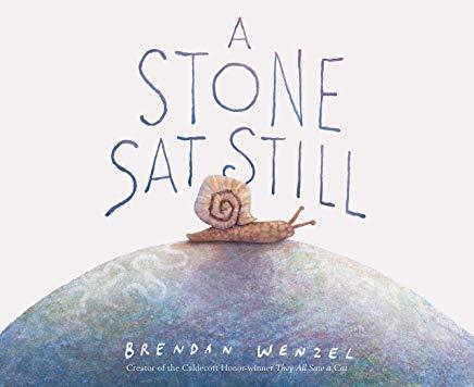 A Stone SAT Still: (environmental and Nature Picture Book for Kids, Perspective Book for Preschool and Kindergarten, Award Winning Illust