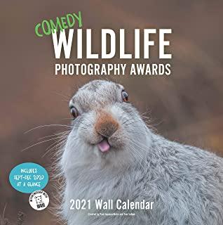 Comedy Wildlife 2021 Wall Calendar: (funny Animal Monthly Calendar, Calendar with Photographs of Wild Animals Doing Funny Things)