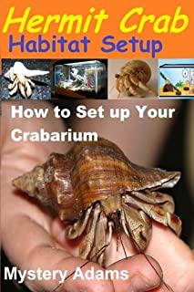 Hermit Crab Habitat Setup: Hermit Crab care and Habitat Set-up