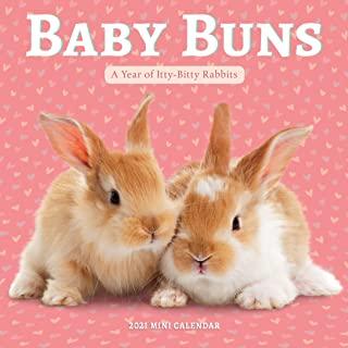 Baby Buns Mini Wall Calendar 2021: A Year of Itty-Bitty Rabbits