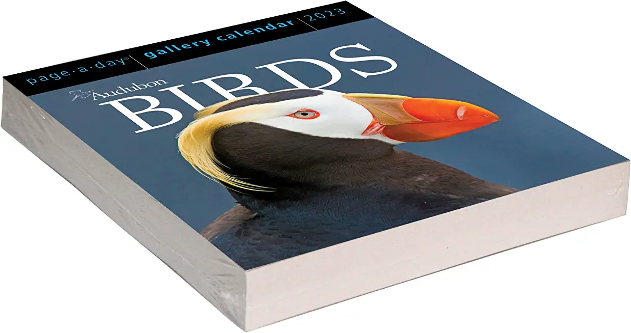 Audubon Birds Page-A-Day Gallery Calendar Refill Pack 2023