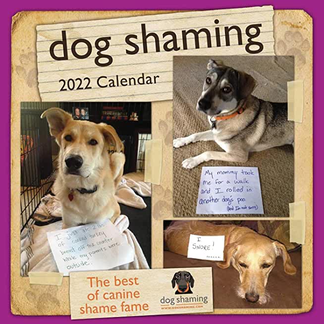 Dog Shaming 2022 Wall Calendar