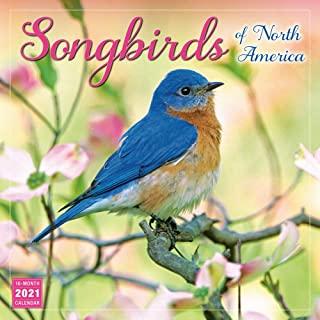 2021 Songbirds of North America 16-Month Wall Calendar