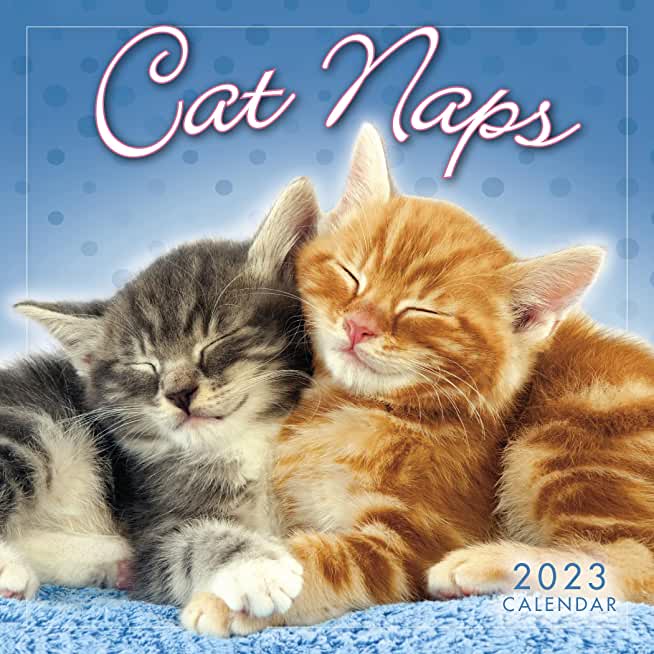 Cat Naps 2023 Mini
