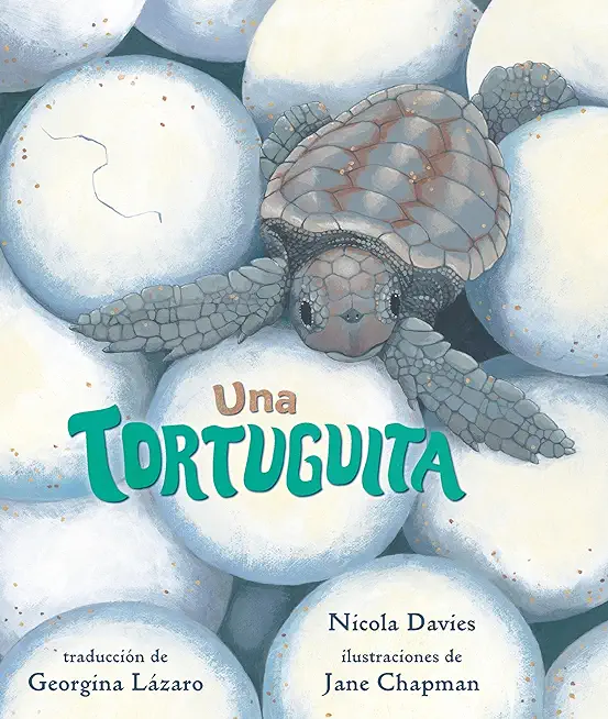 Una Tortuguita: Read and Wonder