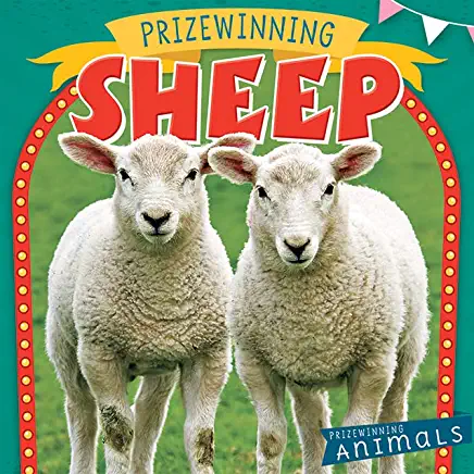 Prizewinning Sheep
