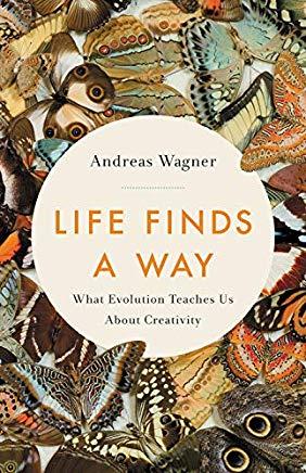 Life Finds a Way: What Evolution Teaches Us about Creativity