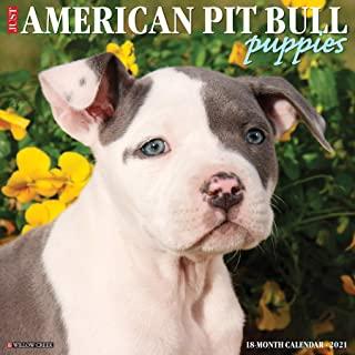 Just American Pit Bull Terrier Puppies 2021 Wall Calendar (Dog Breed Calendar)