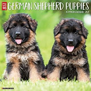 Just German Shepherd Puppies 2021 Wall Calendar (Dog Breed Calendar)