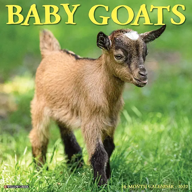 Baby Goats 2022 Wall Calendar
