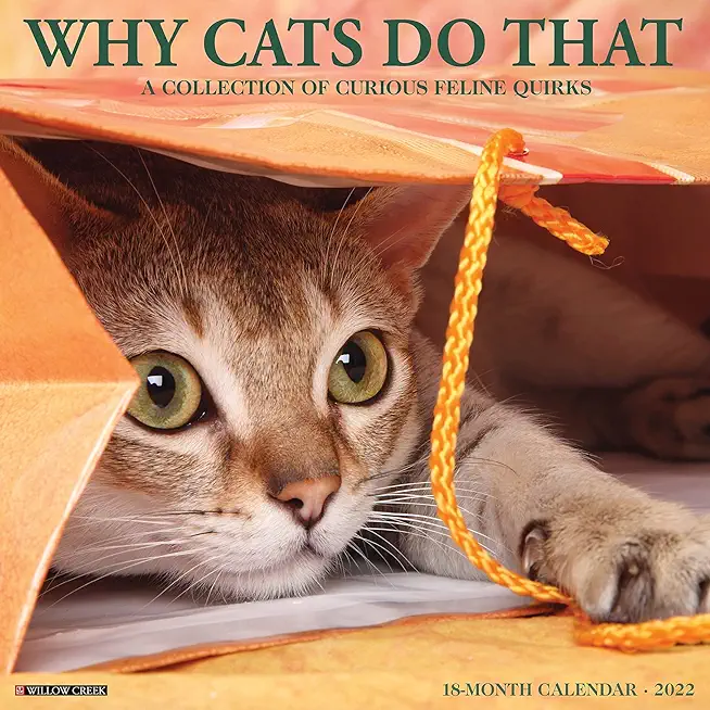 Why Cats Do That 2022 Wall Calendar