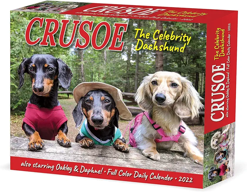 Crusoe the Celebrity Dachshund 2022 Box Calendar, Daily Desktop