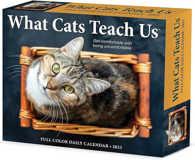 What Cats Teach Us 2023 Box Calendar