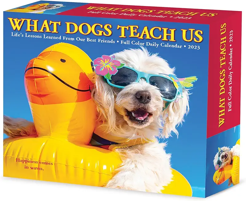 What Dogs Teach Us 2023 Box Calendar