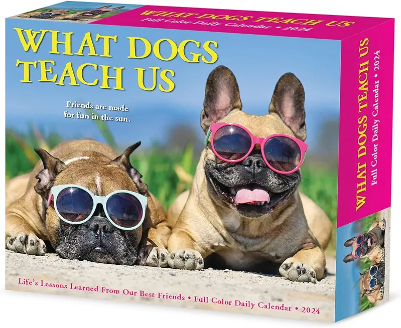 What Dogs Teach Us 2024 6.2 X 5.4 Box Calendar