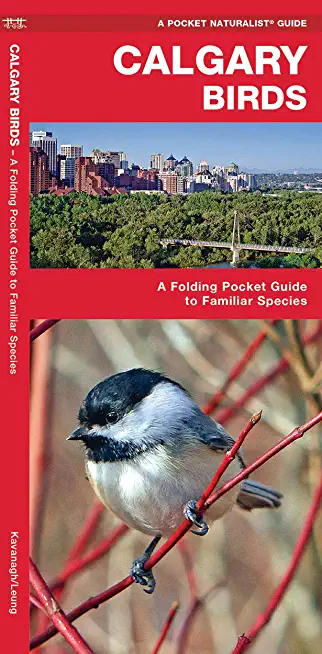 Calgary Birds: A Folding Pocket Guide to Familiar Species