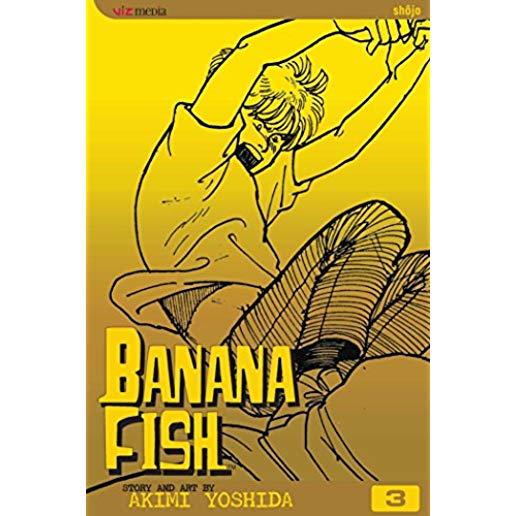 Banana Fish, Volume 3
