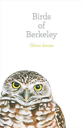 The Birds of Oliver James Note Card Set: Volume 1