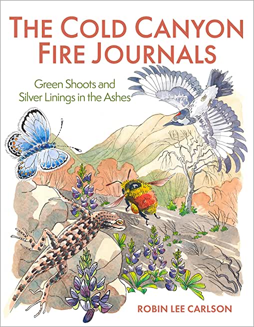 The Cold Canyon Fire Journals: Green Shoots and Silver Linings in the Ashes