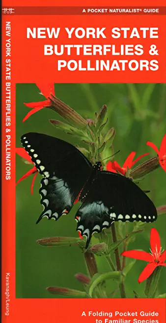 New York State Butterflies & Pollinators: A Folding Pocket Guide to Familiar Species