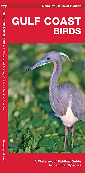 Gulf Coast Birds: A Waterproof Folding Guide to Familiar Species