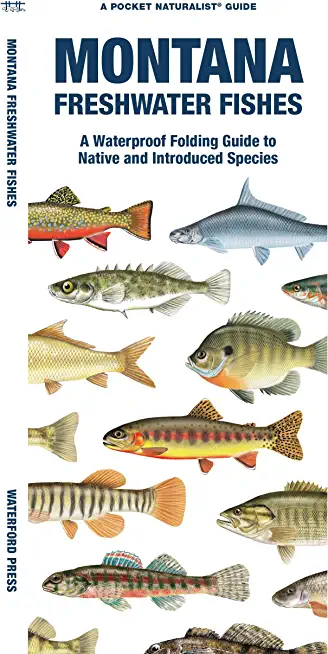 Montana Freshwater Fishes: A Waterproof Folding Guide to Native and Introduced Species