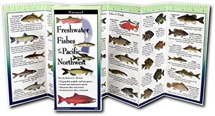 Freshwater Fishes of the Pacific Northwest