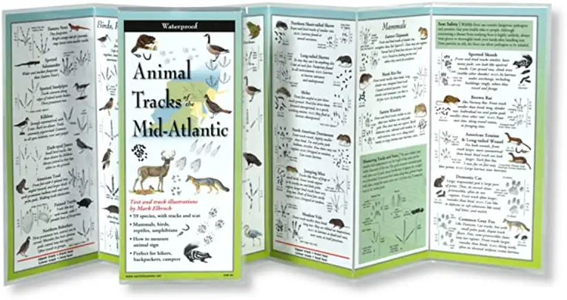 Animal Tracks of the Mid-Atlantic