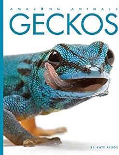 Amazing Animals: Geckos